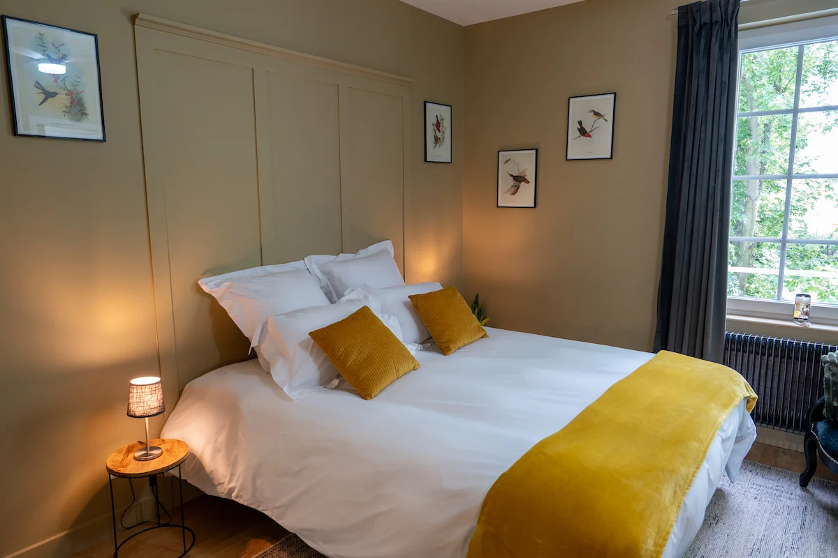 Chambre Mont d'Or — vue 6