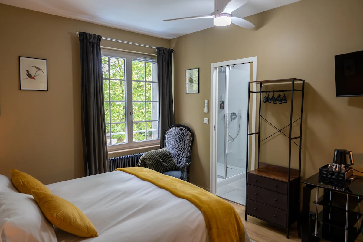 Chambre Mont d'Or — vue 7