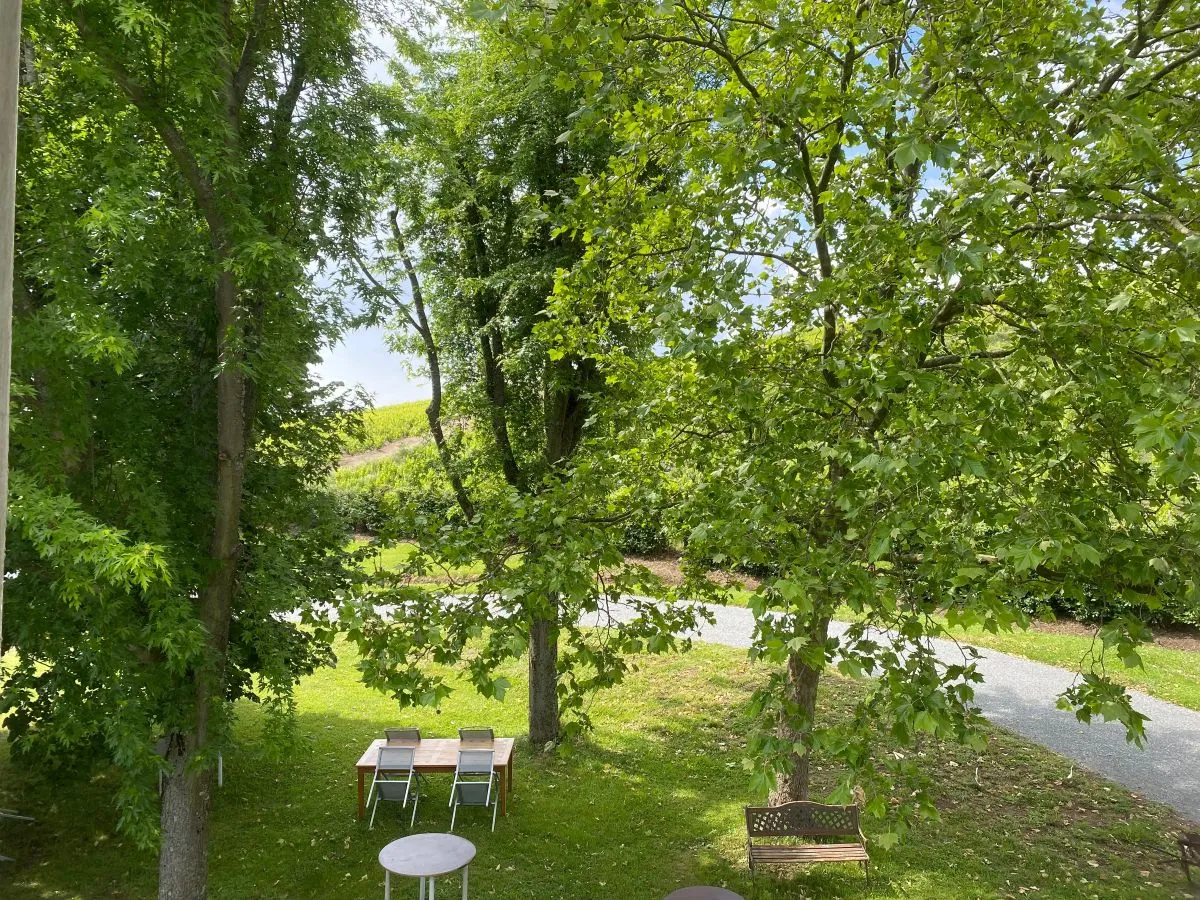 Chambre Mont d'Or — vue 10