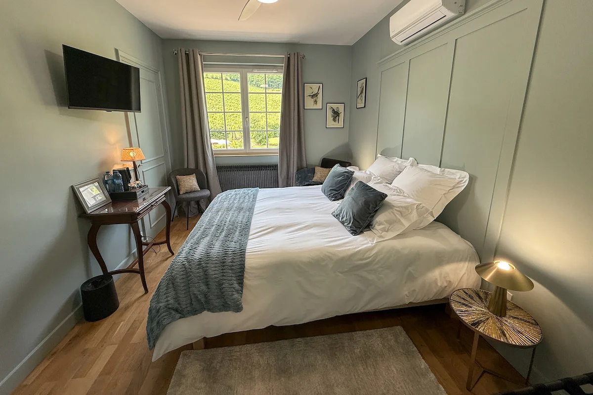 Image Mont Brouilly 3