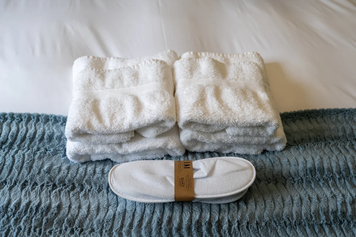 Image Mont Brouilly 6