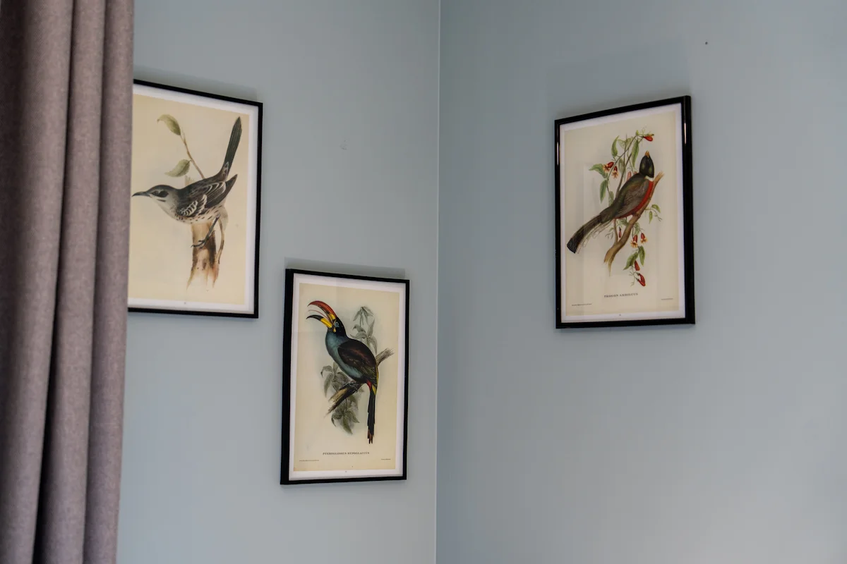 Image Mont Brouilly 8