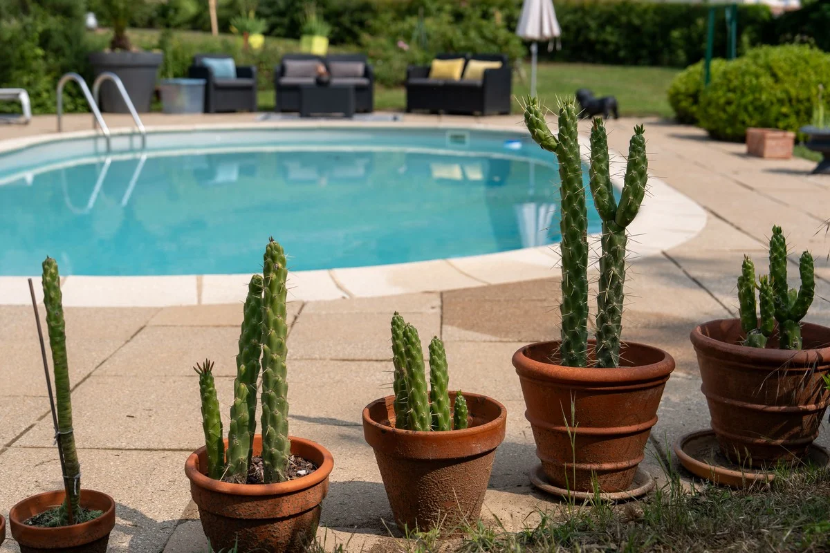 Galerie 50 – Villa Saint-Lager