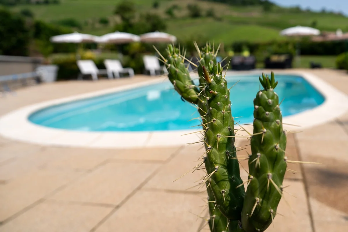 Galerie 54 – Villa Saint-Lager