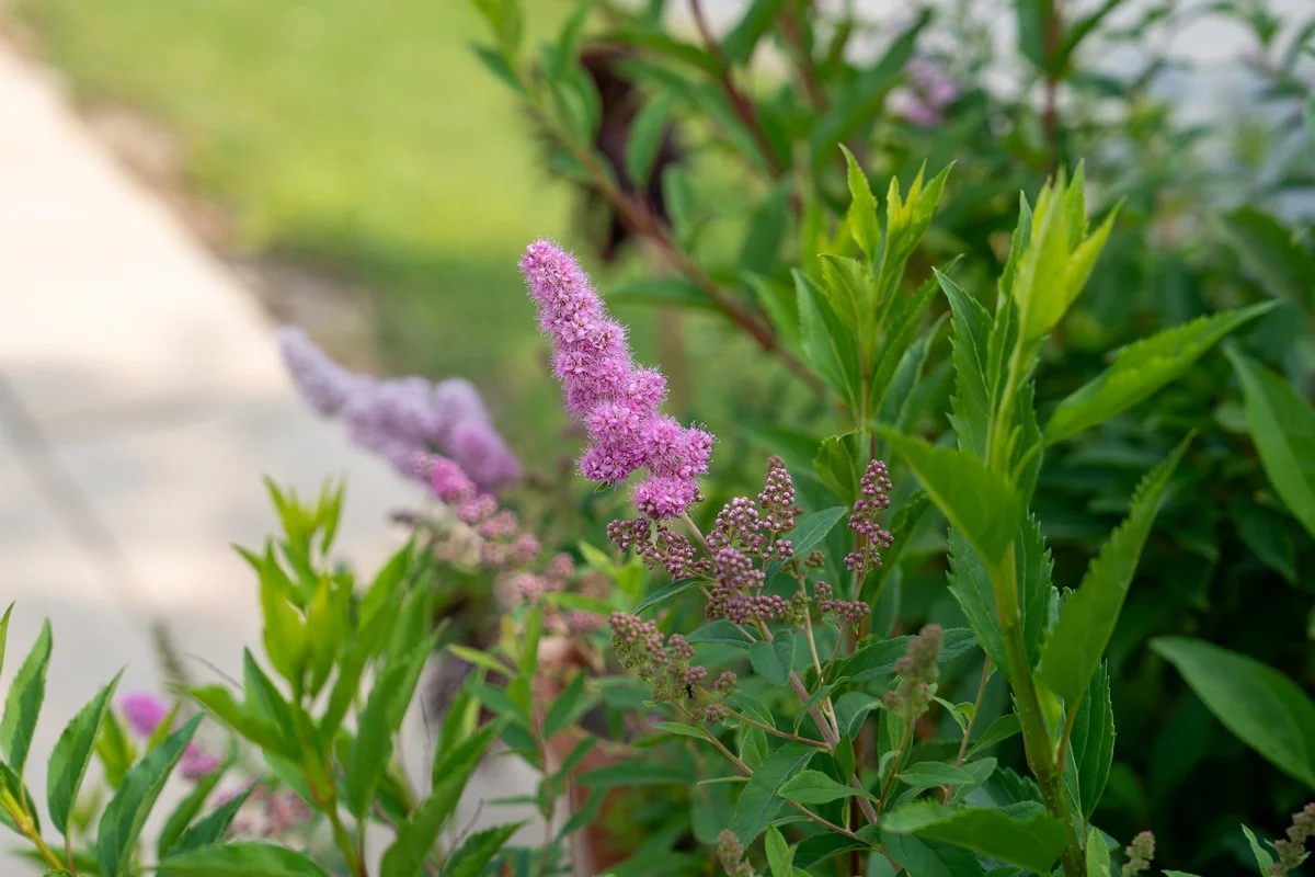 Galerie 57 – Villa Saint-Lager