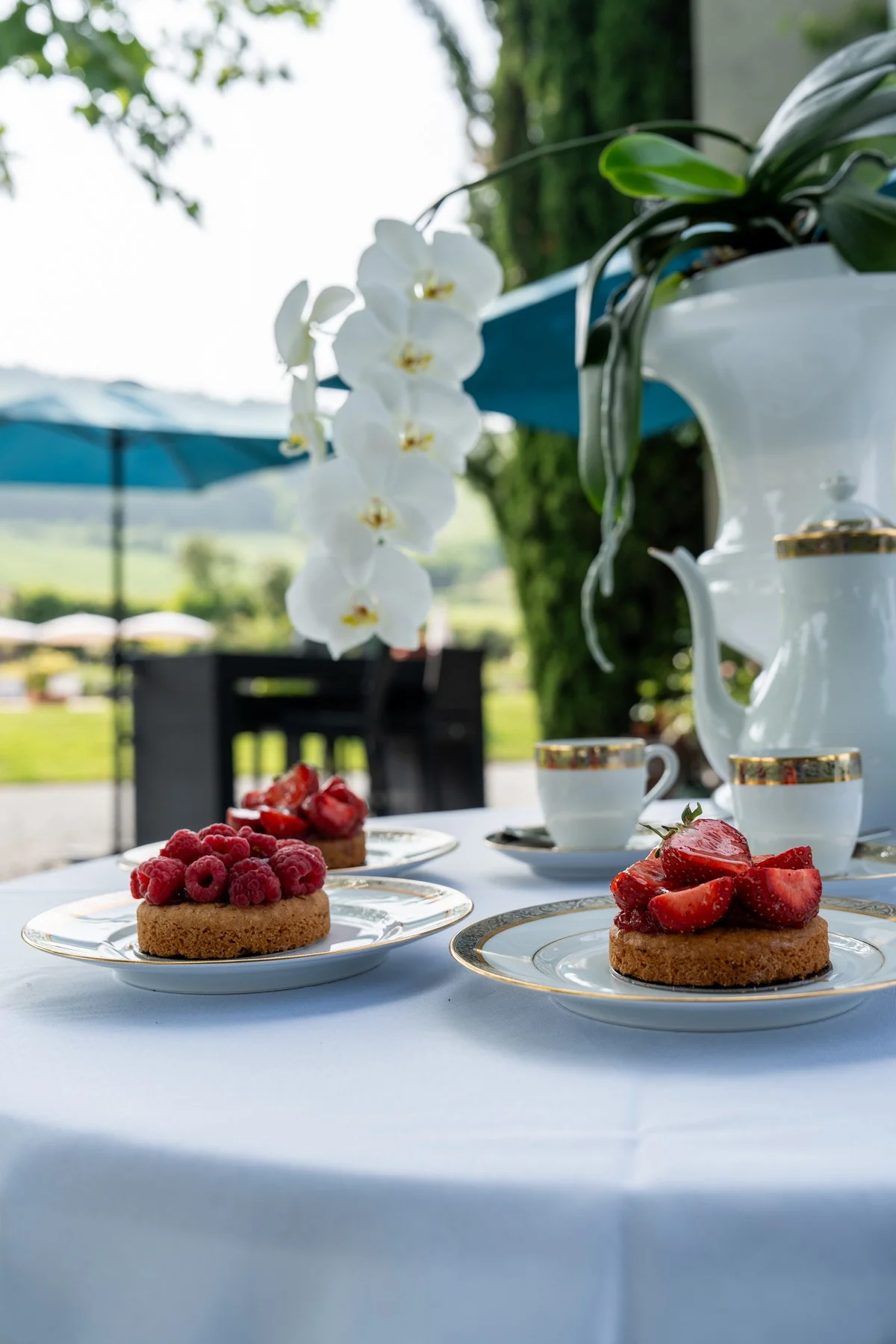 Galerie 245 – Villa Saint-Lager