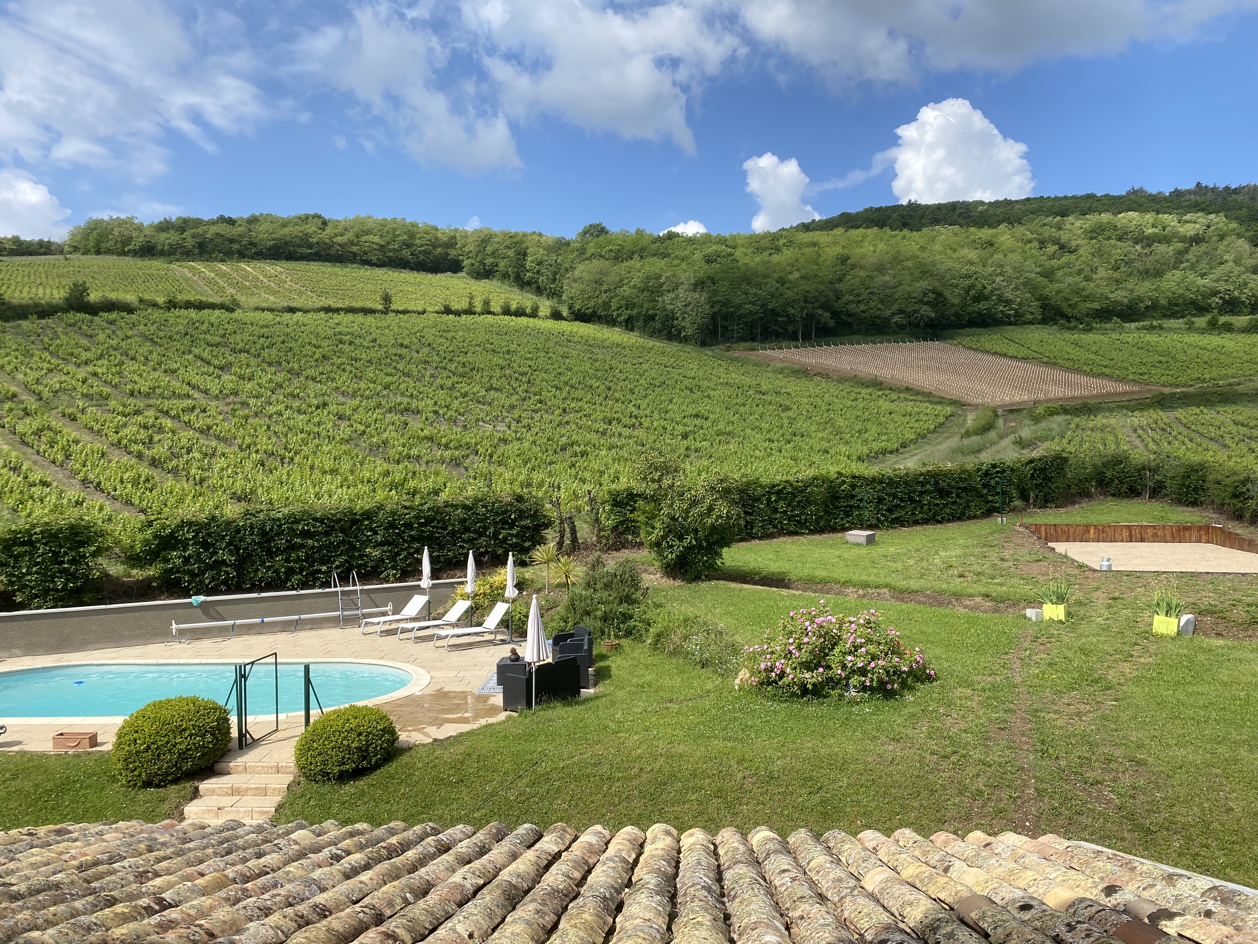 Mont Brouilly 10