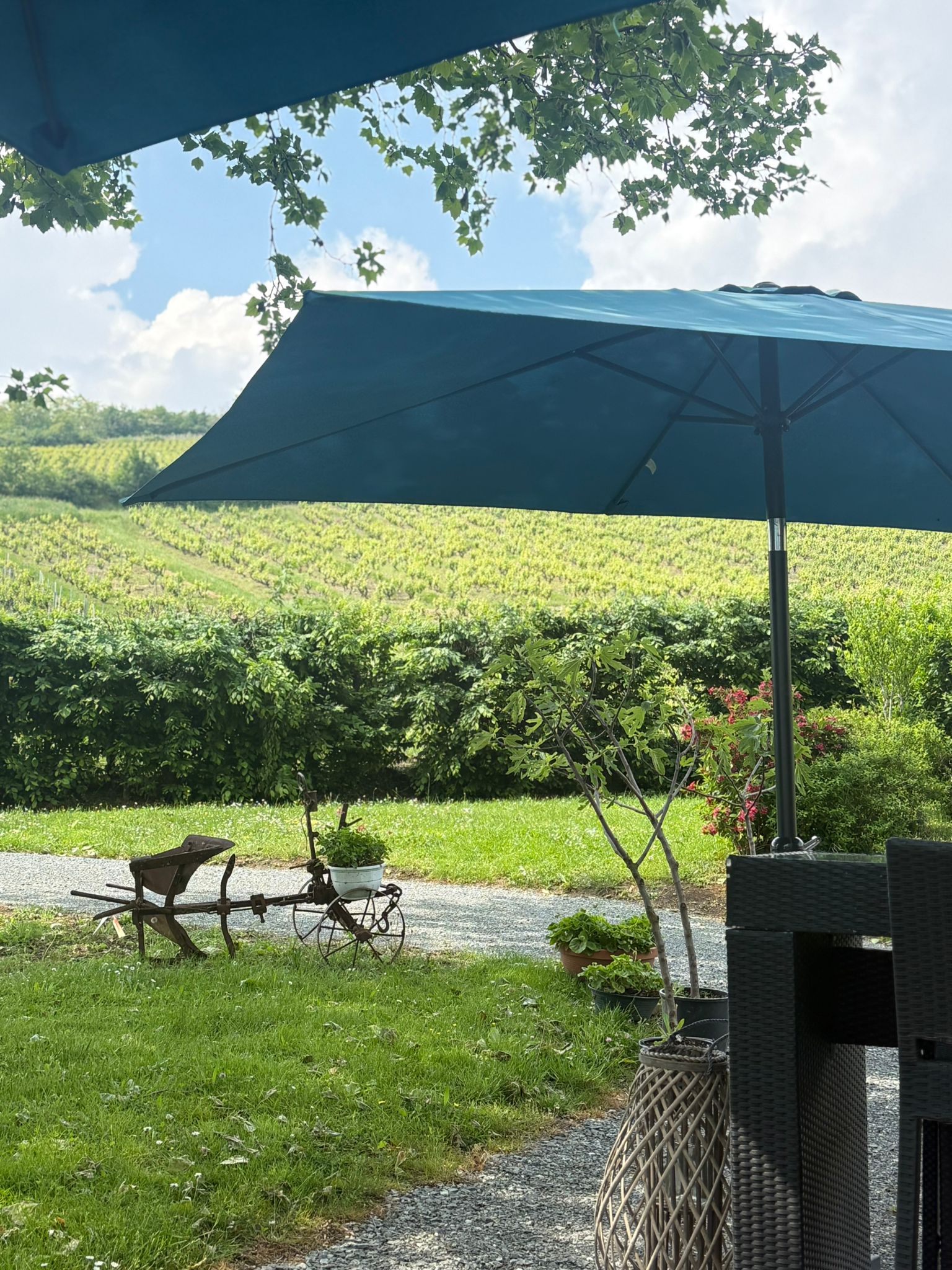 Galerie Villa Saint-Lager - ambiance et détails